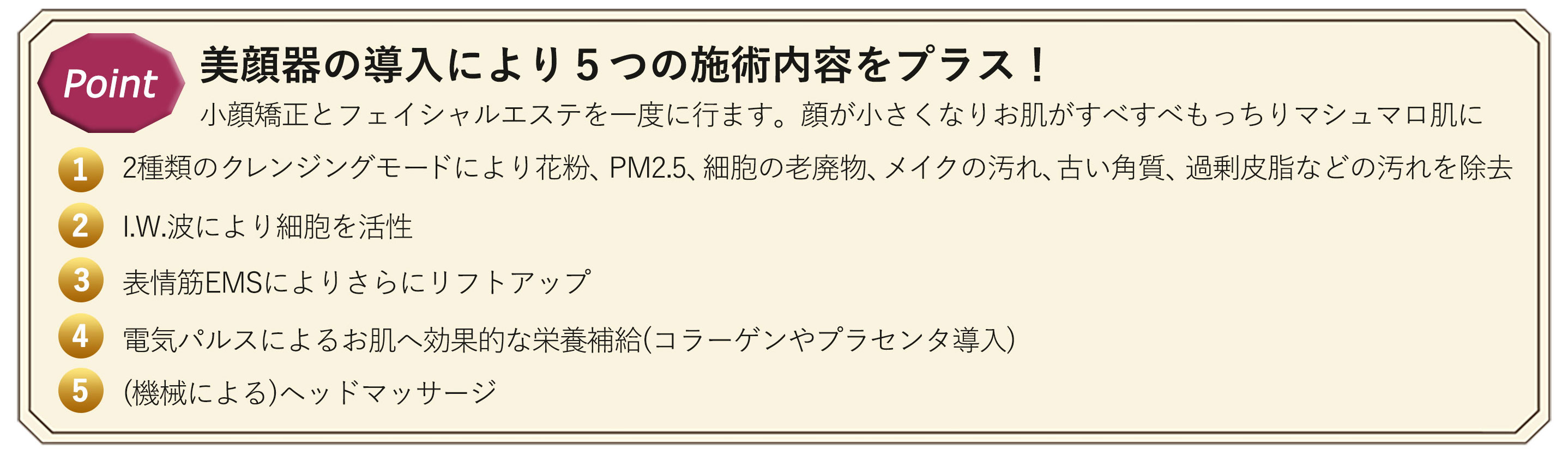 美顔器の導入により5つの施術内容をプラス！