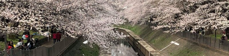 目黒区小山のヨガスタジオ